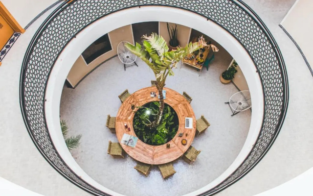 The Yogi Surfer - Hostel