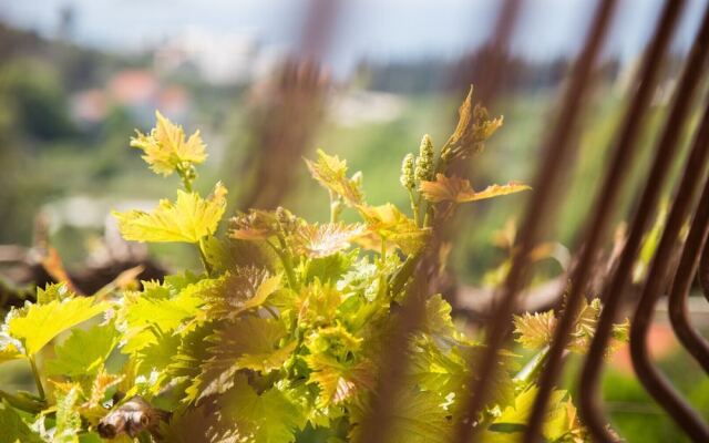 Sea View Apartments Pink & Floyd