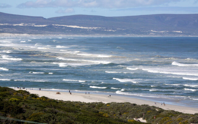 Lavender Manor Guest Lodge