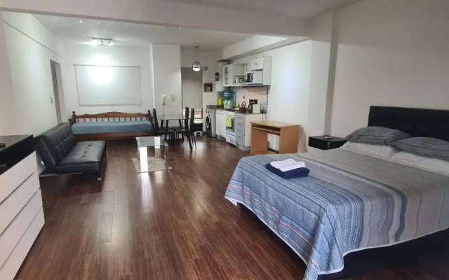 Monoambiente Grande Pedraza2134