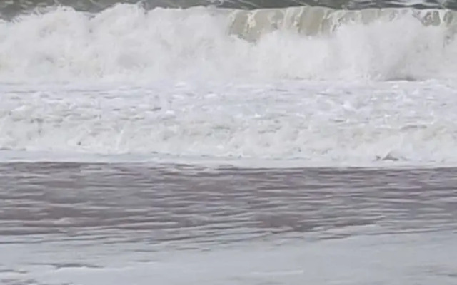 D Wilting in the House