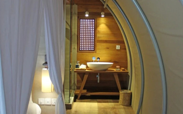 Jungloo at Templation