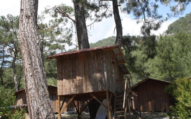Saban Tree Houses