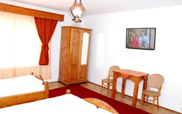 Vila Nicoleta