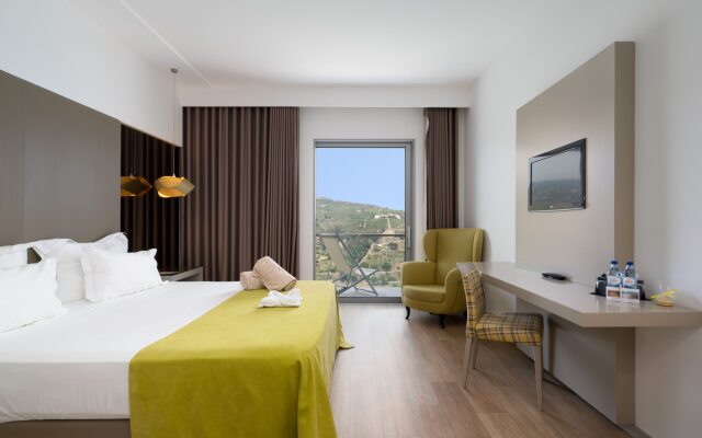 Delfim Douro Hotel