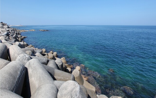 Freesia Pension