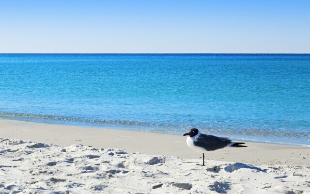 Habby Times  by Best Beach Getaways