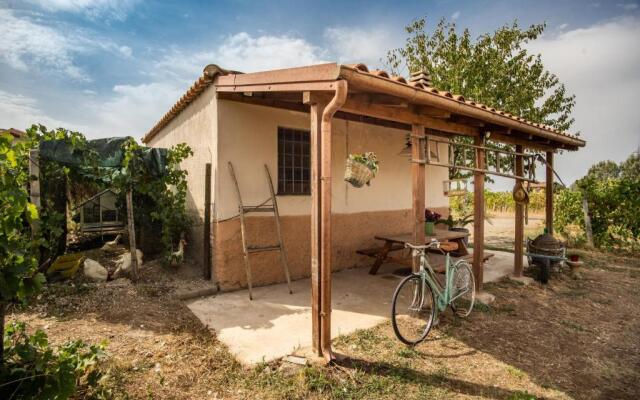 Un' Ottima Annata - La casa nel vigneto