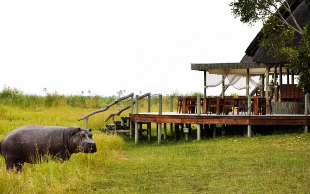 Selinda Camp