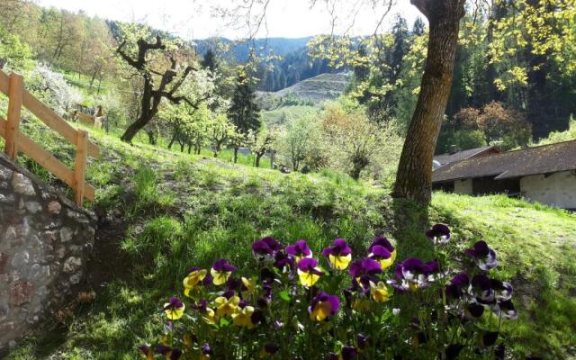 Dalla Natura la Salute