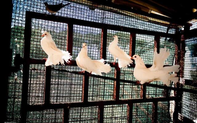 Agriturismo La Meridiana