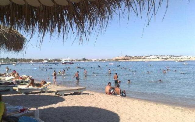 Le Mirage New Tiran