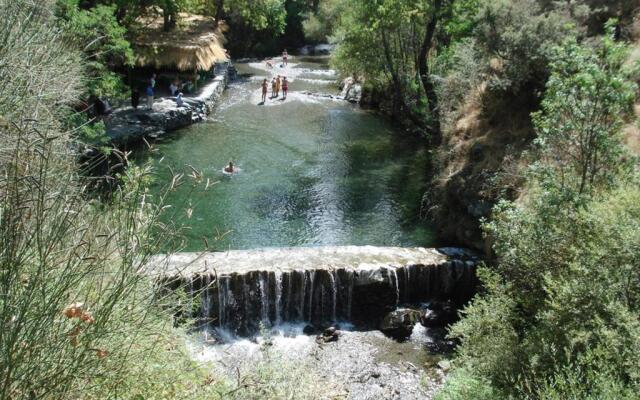 Encinar de Aguas Blancas