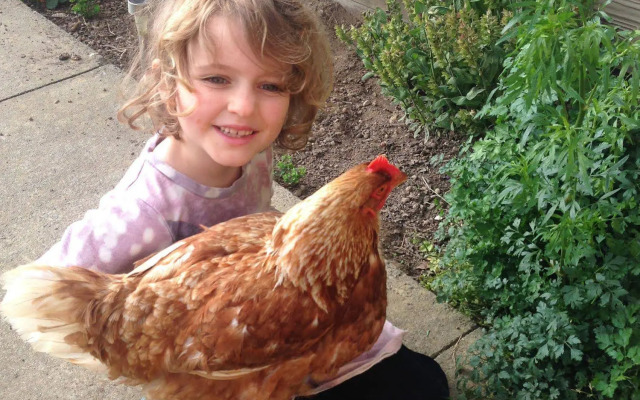Pukeatua Farmstay