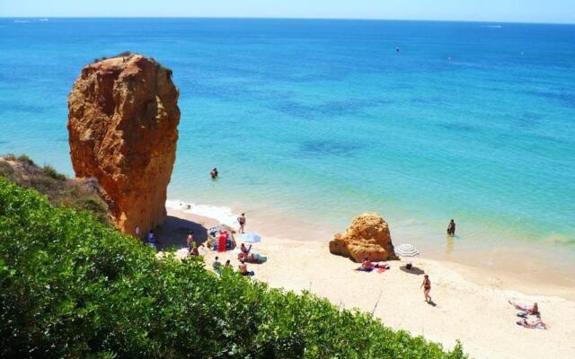 Apartment With 3 Bedrooms in Albufeira, With Enclosed Garden - 300 m F