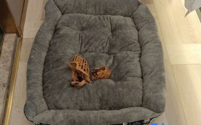 Jinshun Tianhua Hotel (Lushui No.1 Middle School in Nujiang)