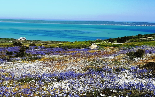 2 Seehuis Suite Bella Self catering