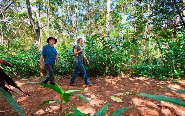 Rose Gums Wilderness Retreat