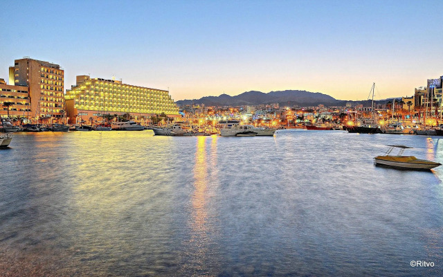 Brown Eilat