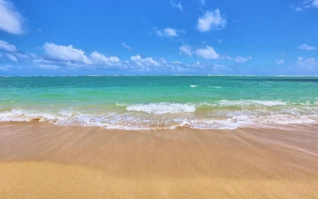 Maui Vista