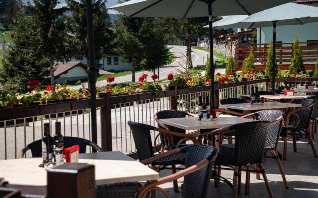 Pensiune Rara Paltinis