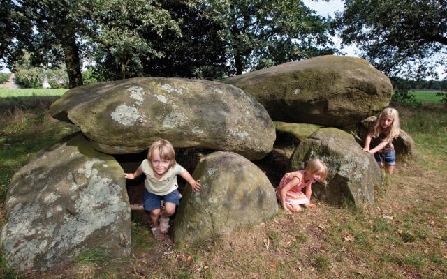 Modern Chalet Near Forest