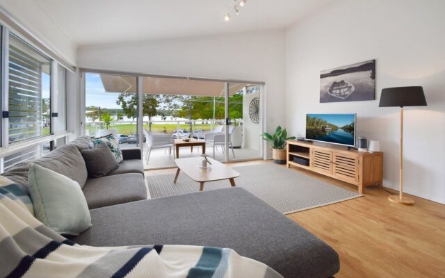 Noosa River Palms