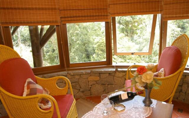 Bromelia Sabia & Cia