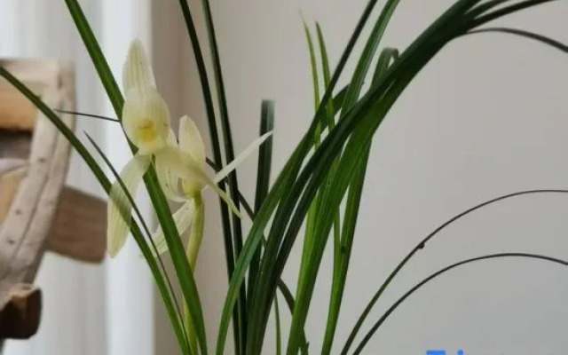 Traveler Time Seaview Hotel