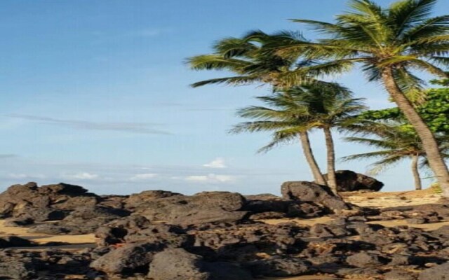 Pousada Flor Do Caribe