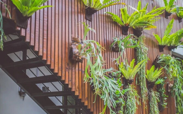Balissimo Seminyak Suites