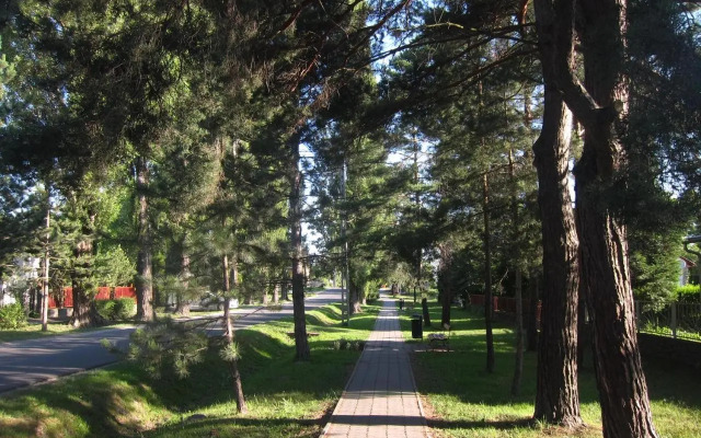 Tutijó Házikó