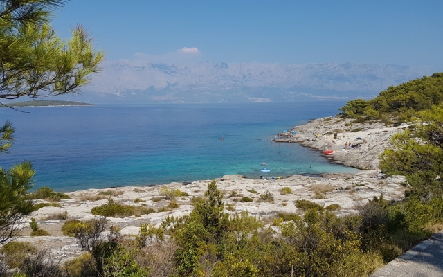 Holiday house Jaka 2 - with pool : Sumartin, Island Brac