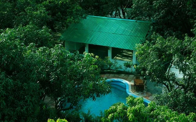 Holiday Highlights by DVM INDIA