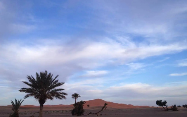 Camels House