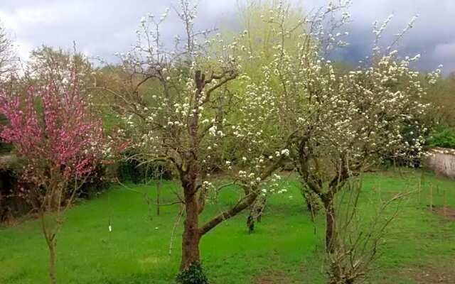 Chambres d'hôtes Coté Halles