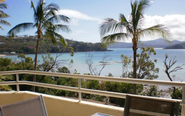 Frangipani 103
