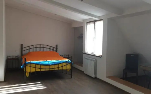 Large loft on Paliashvili Street