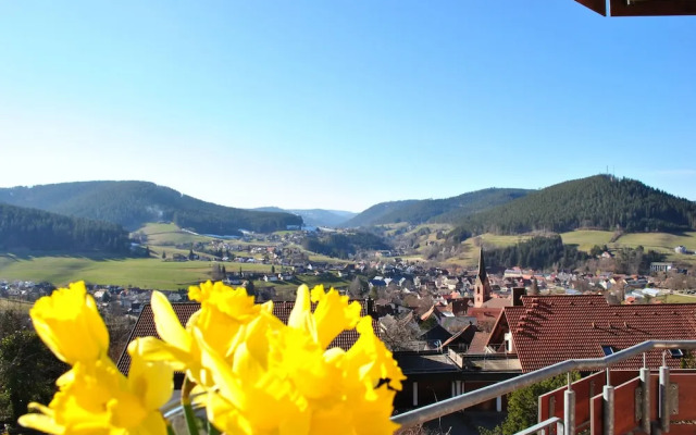 Apart Hotel Goldener Hahn Baiersbronn, Ferienwohnungen | Frühstück, Sauna & Indoorpool