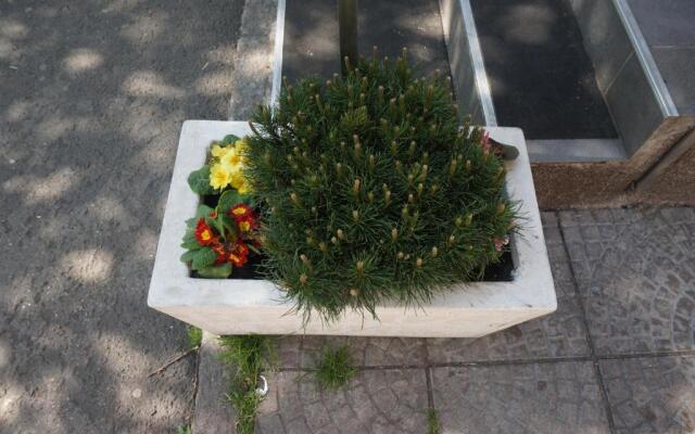 Blue Danube Apartment