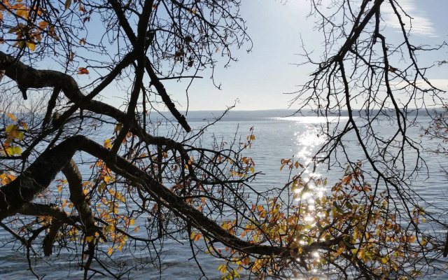 Palais am Schlossplatz