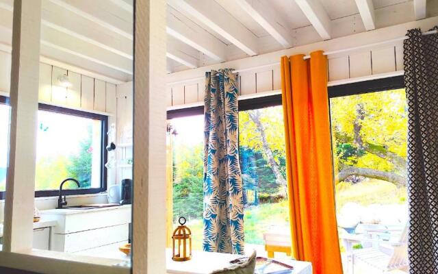 Laptitevosgienne VUE LAC Grardmer