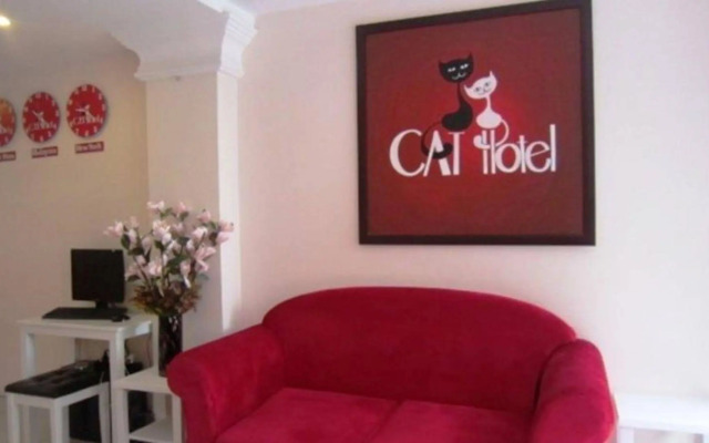 Cat Hotel