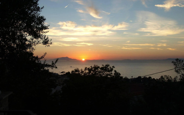 M Suites Sorrento