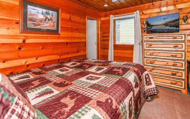 Pine Forest Cabin