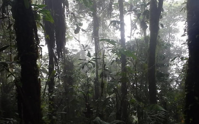 Biohostal Mindo Cloud Forest