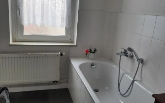 Kunstoase am blauen Haus