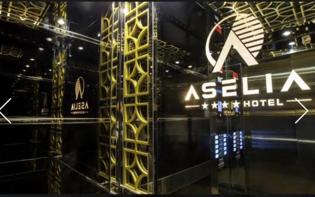 Aselia Hotel Trabzon