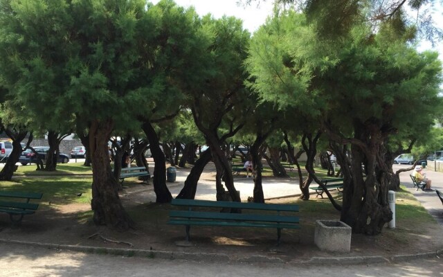 T2 45 M Near Coast Of The Basques