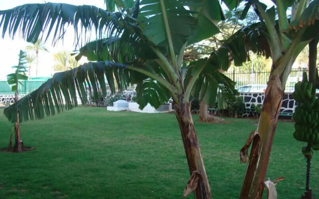 Apartamentos Los Cactus